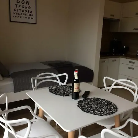 Fibra Latte Apartment Rybnik (Silesia)