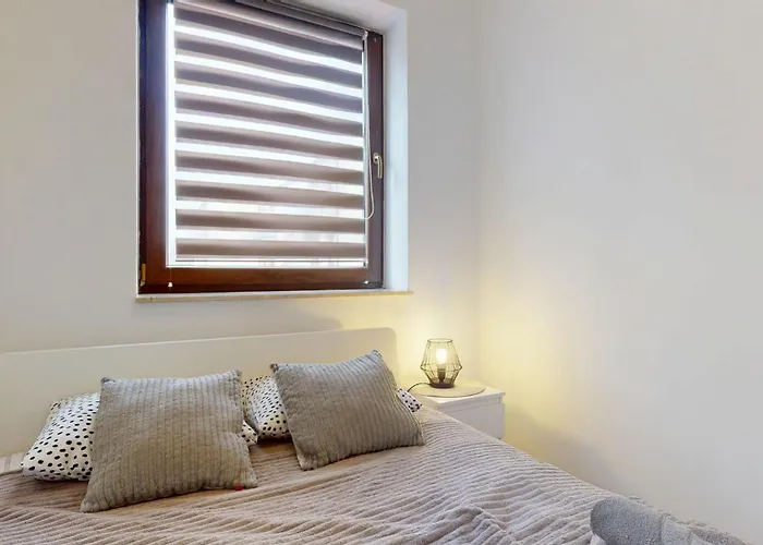 Fibra Latte * Rybnik (Silesia)